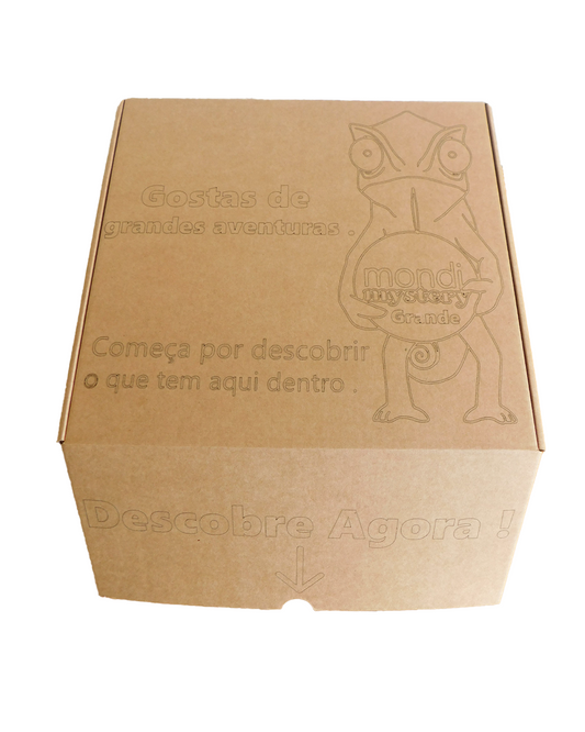 Mystery Box Grande